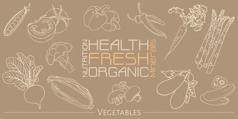 Hand drawn vegetables background. Organic food sketch, healthy organic Background for website, tablecloth, menu, vegetable market.  Vector graphic