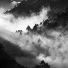 Black and white foggy landscape grimdark