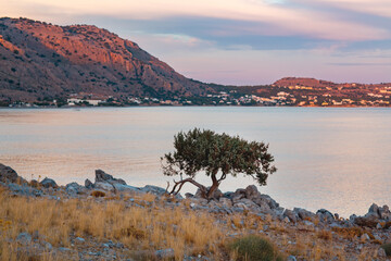 Sunset on a beach of Mediterranean Sea in Greece, Rhodes. Coastline with olive tree and hills, warm...