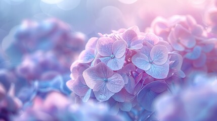 Dreamy Blue Hydrangea Flowers in Bloom background