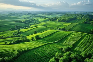 Obraz premium Expansive green hills roll into the distance under a dramatic sky, highlighting the serene beauty of the countryside