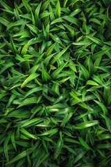Fototapeta premium A textured grass design on the wall creates a unique and natural backdrop.