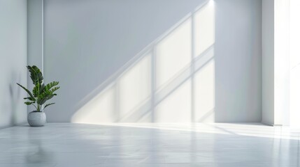 Empty white room with large window and plant on the left side for text