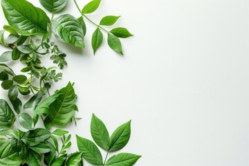 Creative layout made of green leaves on white background. Flat lay, top view.