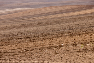 preparing the soil for sowing a new crop of plants