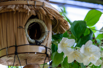 bird house in the garden