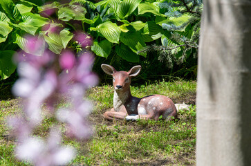 deer in the garden