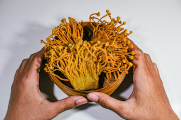 a pile of crispy fried enoki mushrooms, served on a bamboo basket and held in two hands, on a plain...