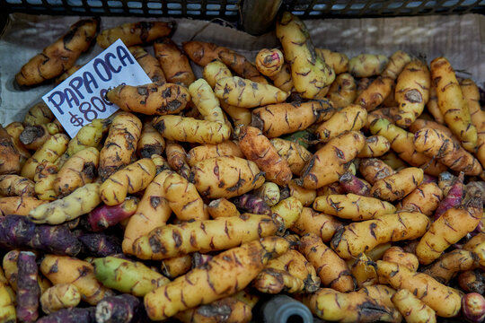 Organic oca potato with its price in argentine peso at a market in Salta, Argentina