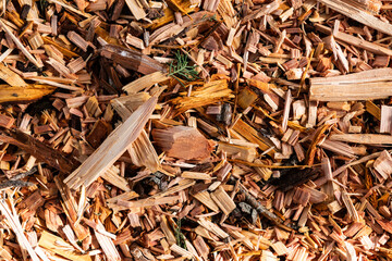 Abstract closeup of freshly cut wood chips.