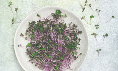 fresh radish micro-greens, purple, on a plate, top view, no people,