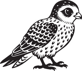 Illustration of a kestrel on a white background 