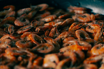 shrimps 