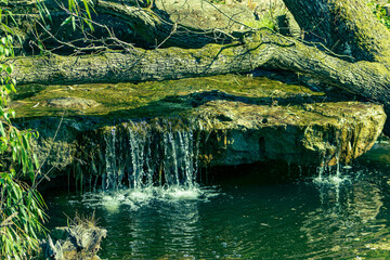 A small waterfall made of stone. Waterfall on the river. A tree fallen across the river. Wild nature, river, stream, waterfall, stones.