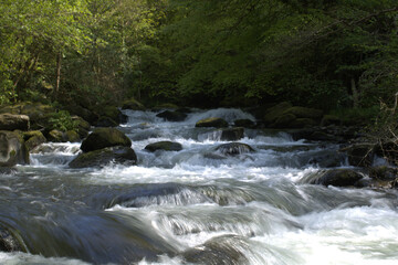 Lynton found in North Devon