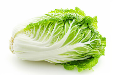 Fresh Napa cabbage on a white background, ideal for healthy eating, vegetarian recipes, and Asian culinary themes