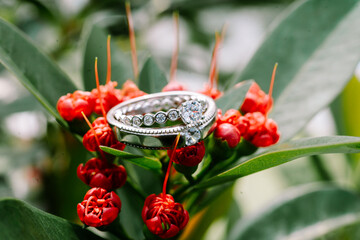 A wedding ring delicately placed atop vibrant red blooms, nestled amidst lush green foliage,...