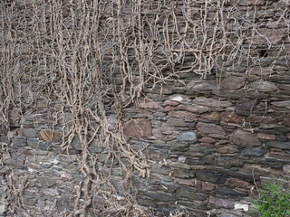 Viereckiger Turm in Zell an der Mosel 