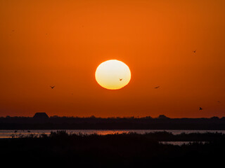 Panoramic aerial view of the salt flats of the Ebro Delta (Tarragona - Catalonia) at dawn. Sunset in the salt flats of the Ebro Delta, Spain