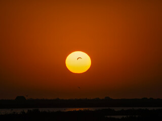 Panoramic aerial view of the salt flats of the Ebro Delta (Tarragona - Catalonia) at dawn. Sunset in the salt flats of the Ebro Delta, Spain