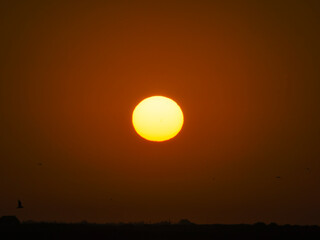 Fototapeta premium Panoramic aerial view of the salt flats of the Ebro Delta (Tarragona - Catalonia) at dawn. Sunset in the salt flats of the Ebro Delta, Spain