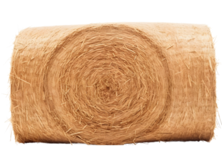 A roll of dried hay bale 