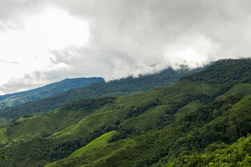 View of the green mountains at Thailand.