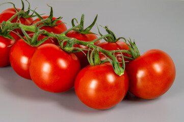 A row of red tomatoes are shown on a grey background. The tomatoes are ripe and ready to be eaten