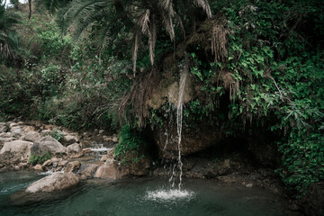 Fototapeta premium India, Rishikesh March 2024. Secret Waterfall.
