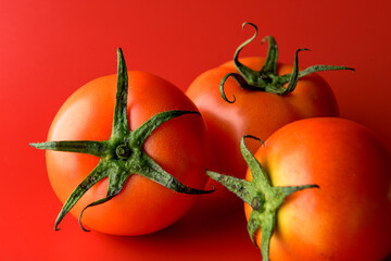 tomatoes on a vine