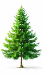 Vibrant Cartoon Pine Tree and Realistic Fir Tree. Generative ai