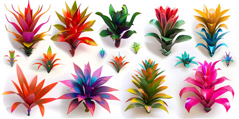  Exotic Bromeliad A Vibrant Digital Art Display