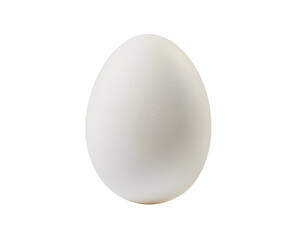 White egg isolated on white background. with clipping path, focus stacking