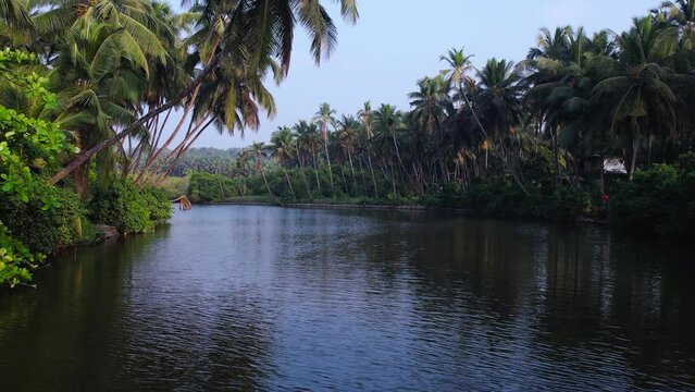 Kerala nature landscape footage, Beautiful riverside view with coconut trees, Kerala backwaters view
