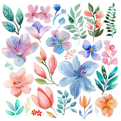 Obraz premium watercolor floral individual elements