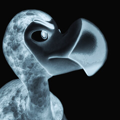 dodo cartoon is angry on id profile picture