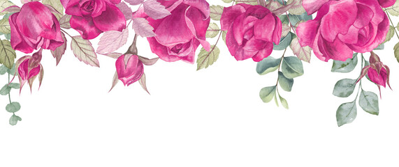 Watercolor Roses flower and eucalyptus greenery border on transparent background