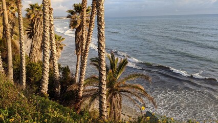 Southern California beach scenics with sunsets, surfers, tide pools and palms trees at Swamis Reef...
