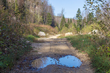 dirt road leading to the forest, autumn condition in nature