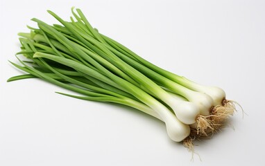 Spring Onion Against a Clear Background