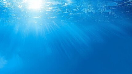   From the ocean bottom, the sun brilliantly illuminates the blue water