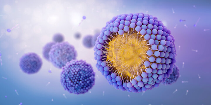 Soap molecules surrounding and capturing oily particle forming micelles. The hydrophobic tail is attracted to grease and oily substances and the hydrophilic head is attracted to water. 3d illustration