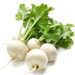 A photo of a bunch of turnips on a white background. The turnips are white and have green leaves.