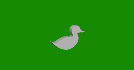 Isolated realistic white duck symbol front view with shadow. 3d illustration on green chroma key background
