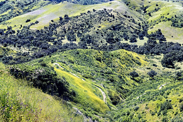 Rural hill and meadow mountain landscape