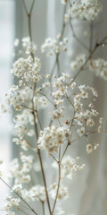 Fototapeta premium Delicate White Blossoms on Elegant Thin Branches Against Soft Background