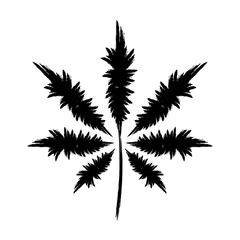 black silhouette of hand drawn marijuana or cannabis leaf. Vector illustration isolated on white.