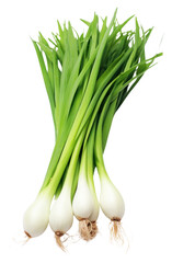 PNG Vegetable plant food ingredient