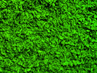 green moss background