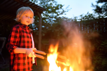 Cute little boy is burning a bonfire on a summer evening in the backyard. Child puts firewood in a...